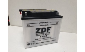 АКБ для снегоходов ZDF